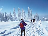 Langlauf im Bayerischen Wald